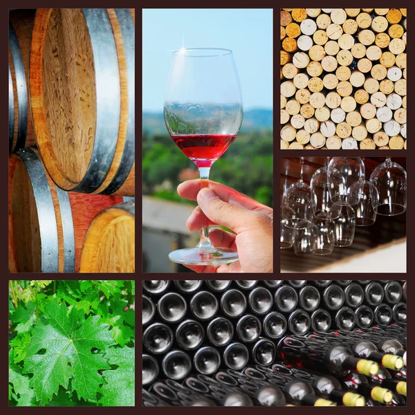 Collage de vino . — Foto de Stock