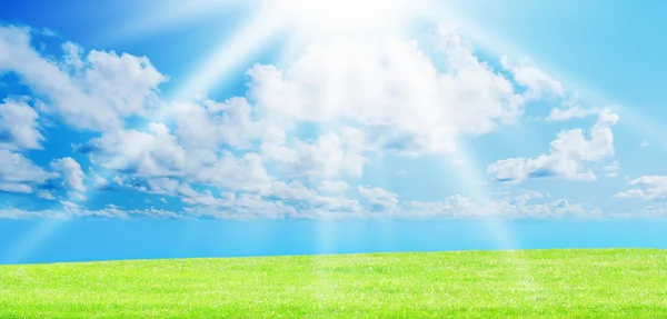 Green grass against a blue sunny sky — Stock Photo, Image