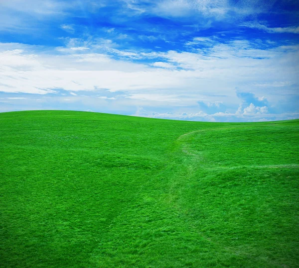 Zöld fű a kék napos ég ellen — Stock Fotó
