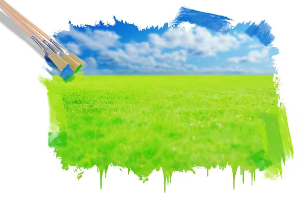 Green grass against a blue sunny sky — Stock Photo, Image