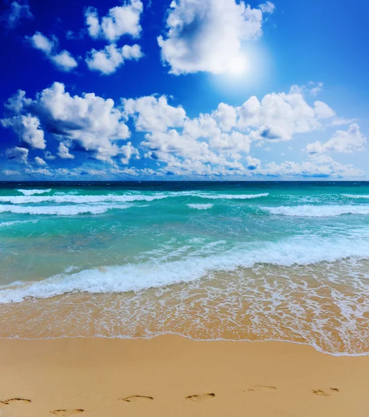 Sonniger tropischer Strand auf der Insel — Stockfoto