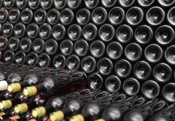 Old bottles of red wine — Stock Photo, Image