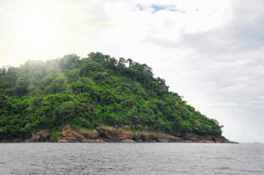 adada güneşli tropikal plaj