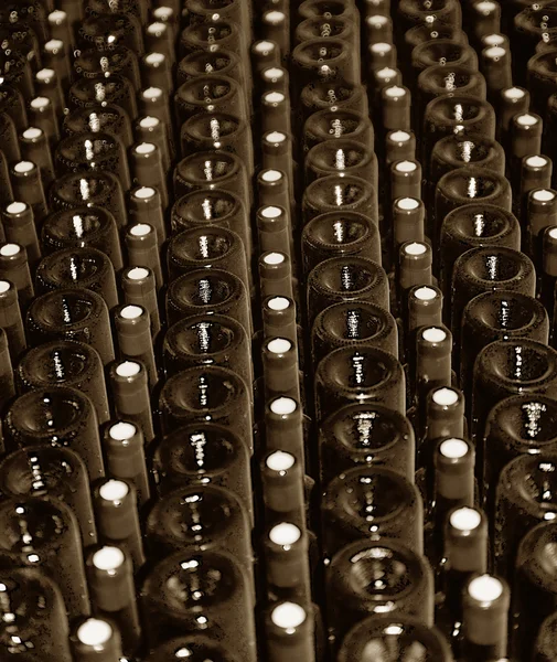 Old bottles of red wine — Stock Photo, Image