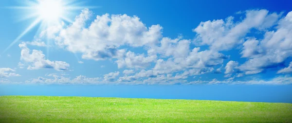 Grama verde contra um céu azul ensolarado — Fotografia de Stock