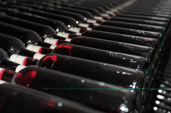 Old bottles of red wine — Stock Photo, Image