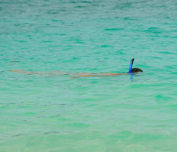 Plongée en apnée en pleine mer — Photo