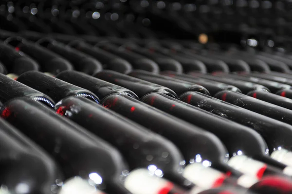 Old bottles of red wine — Stock Photo, Image