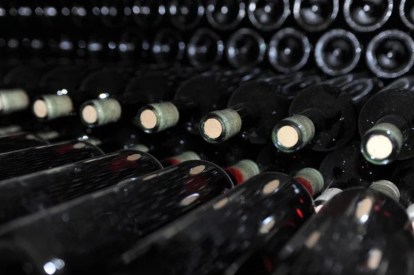 Old bottles of red wine — Stock Photo, Image