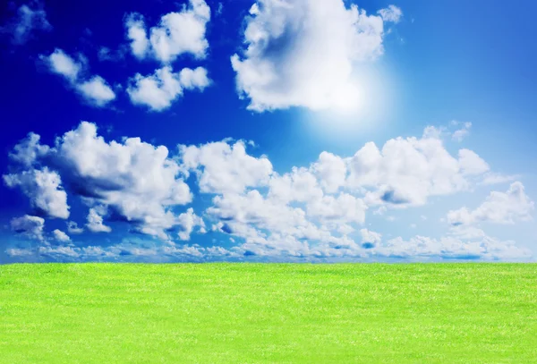 Grama verde contra um céu azul ensolarado — Fotografia de Stock