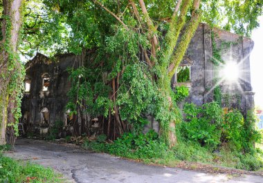 Window in the stone wall