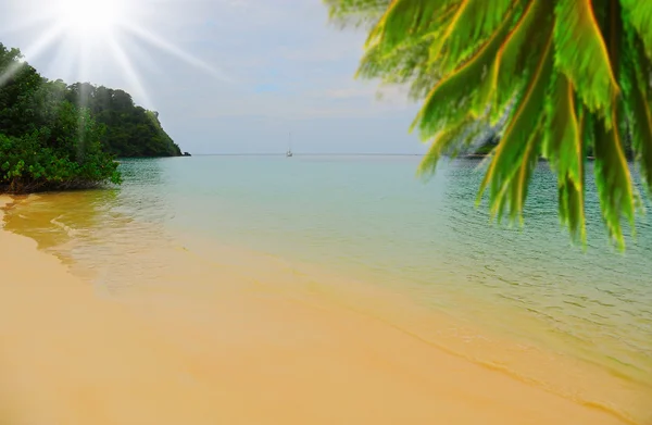 Plage tropicale ensoleillée sur l'île — Photo