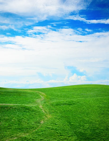 Erba verde contro un cielo blu e soleggiato — Foto Stock