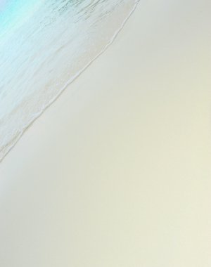 adada güneşli tropikal plaj