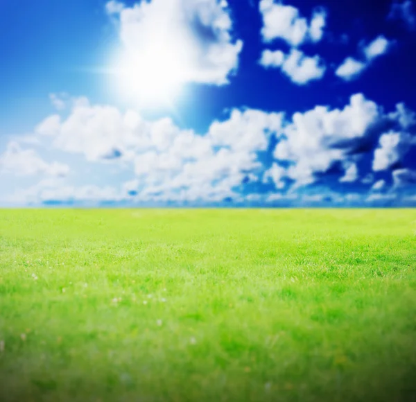 Hierba verde contra un cielo azul soleado —  Fotos de Stock