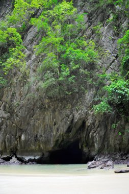 adada güneşli tropikal plaj