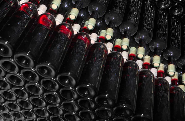 Old bottles of red wine — Stock Photo, Image