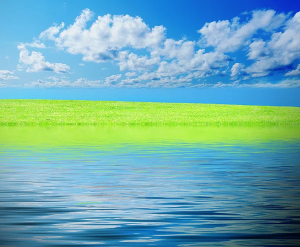 Grama verde contra um céu azul ensolarado — Fotografia de Stock
