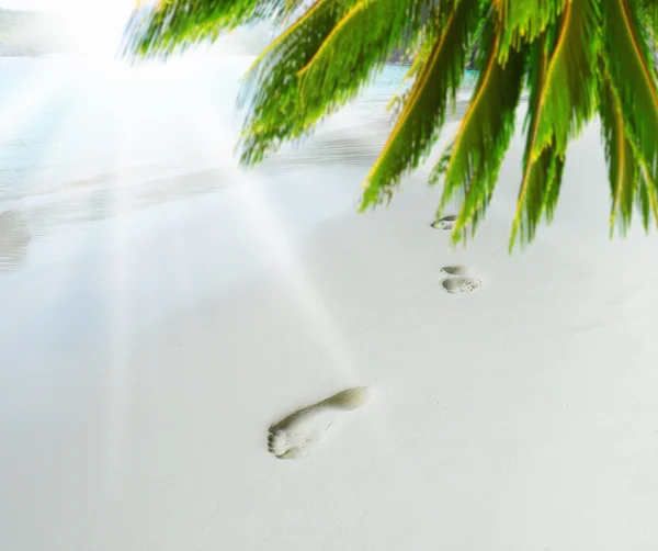 Trail barefoot feet in the sand — Stock Photo, Image