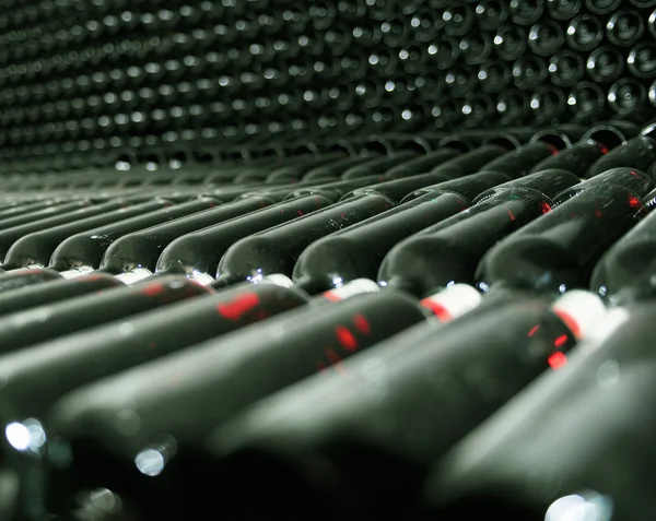 Old bottles of red wine — Stock Photo, Image