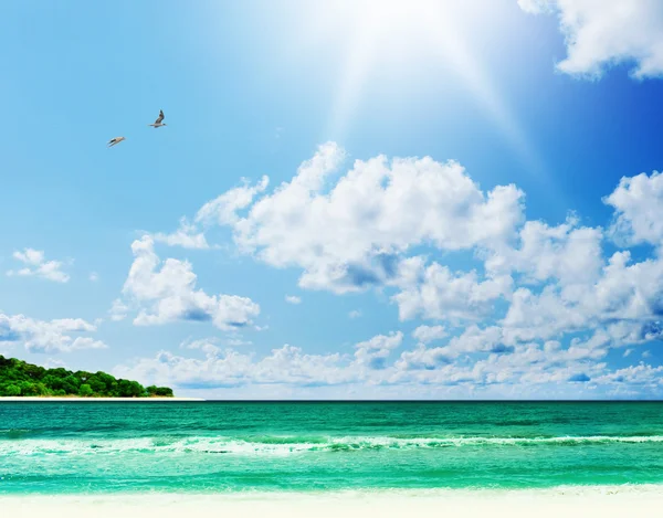 Słoneczny tropikalny plaży na wyspie Obraz Stockowy