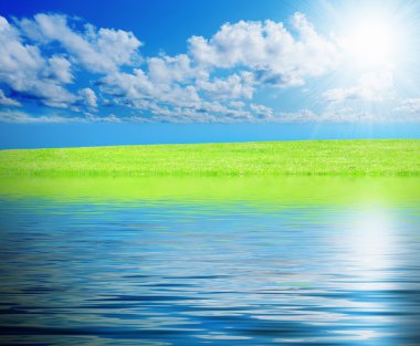 Mavi güneşli gökyüzü karşı yeşil çimen