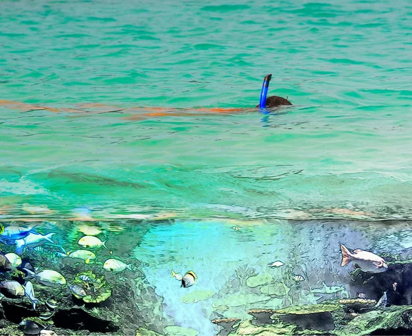 Snorkeling in the open sea — Stock Photo, Image