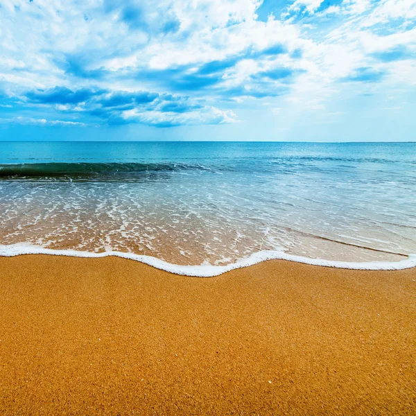 Tropical beach — Stock Photo, Image