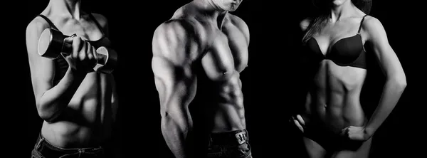 vücut geliştirme. erkek ve kadın