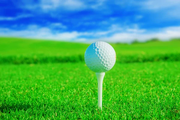 Golf club. Green field and ball in grass — Stock Photo, Image