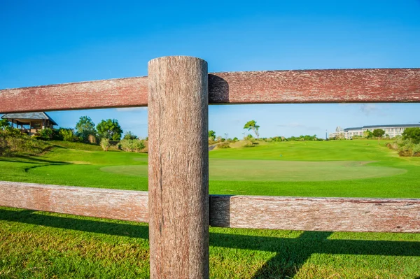 Golf club. Zelená pole a míč v trávě — Stock fotografie