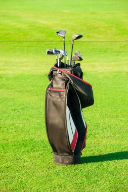 Golf Kulübü. golf kulüpleri ile çanta