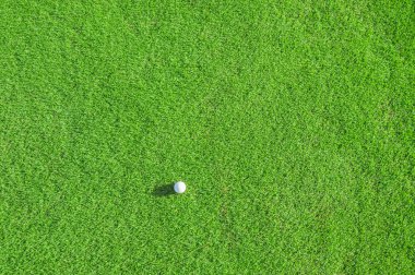 Golf Kulübü. yeşil alan ve top çimen