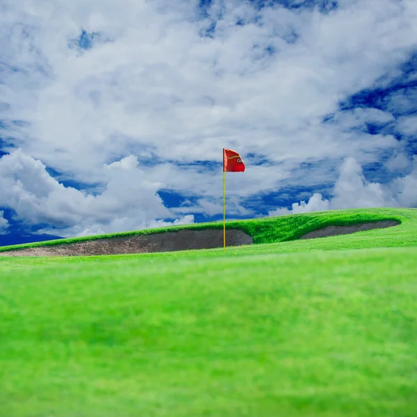 Golf club. Green field and ball in grass — Stock Photo, Image