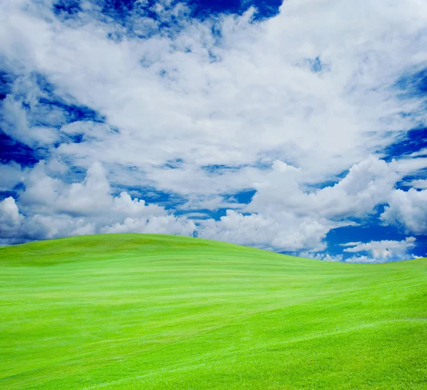 高尔夫俱乐部。绿色的田野和在草地的球 — 图库照片