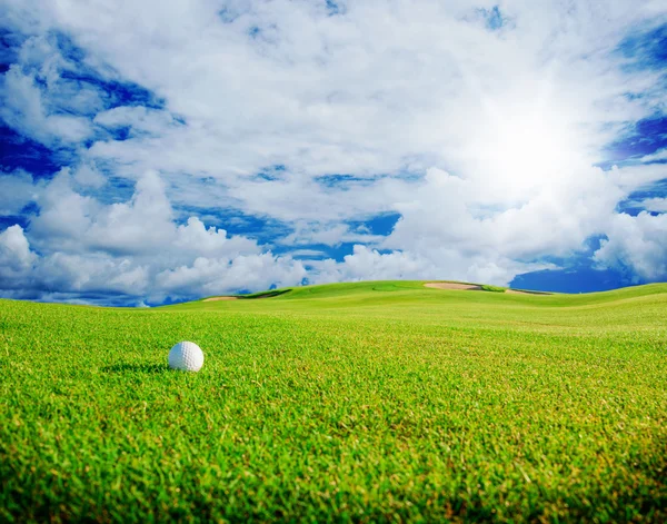 Golf club. Green field and ball in grass — Stock Photo, Image