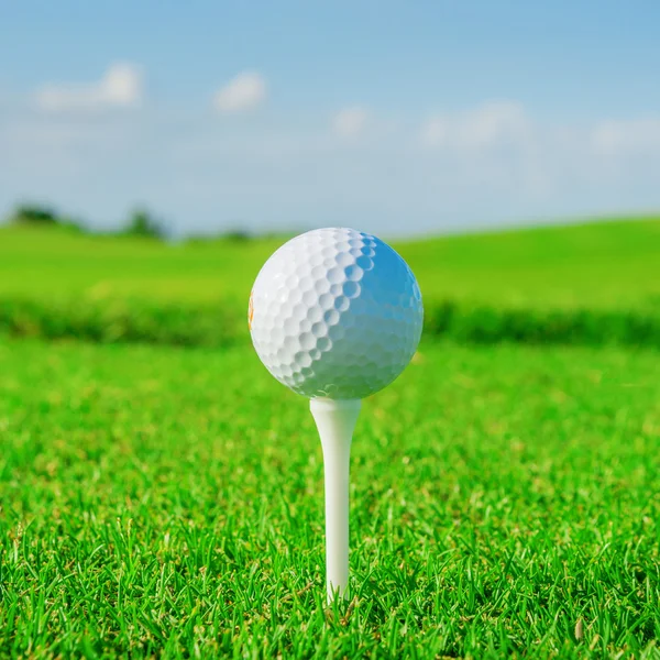 Golf club. groen veld en bal in gras Rechtenvrije Stockafbeeldingen