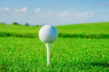 Golf Kulübü. yeşil alan ve top çimen
