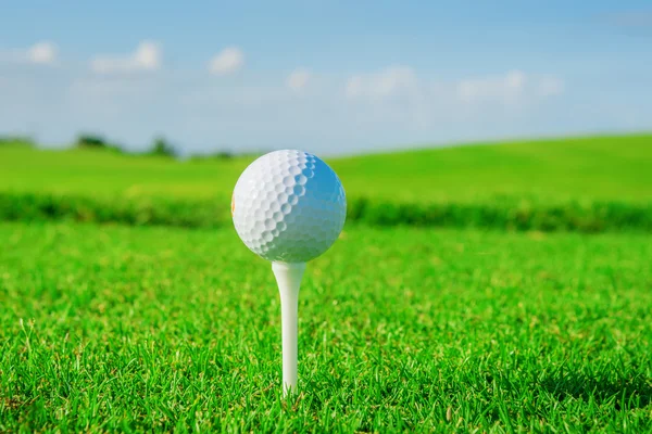 Golf club. Green field and ball in grass — Stock Photo, Image