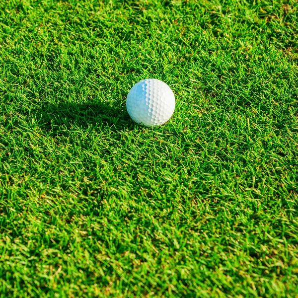 Clube de golfe. Campo verde e bola na grama Imagem De Stock