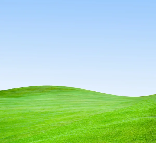 Clube de golfe. Campo verde e bola na grama — Fotografia de Stock