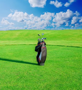 Golf Kulübü. golf kulüpleri ile çanta