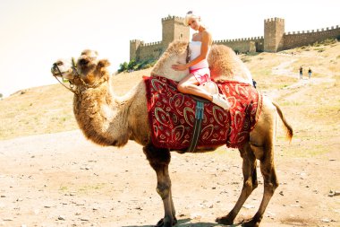 bir kız bir deve sürme