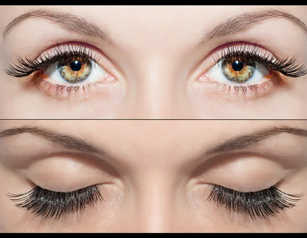 göz ve yanlış eyelashes