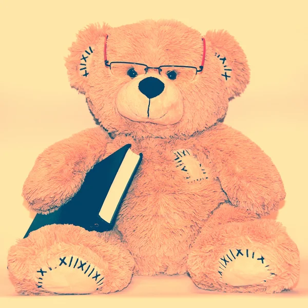 Professor Teddy — Stock Photo, Image