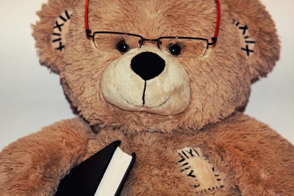 Professor Teddy — Stock Photo, Image