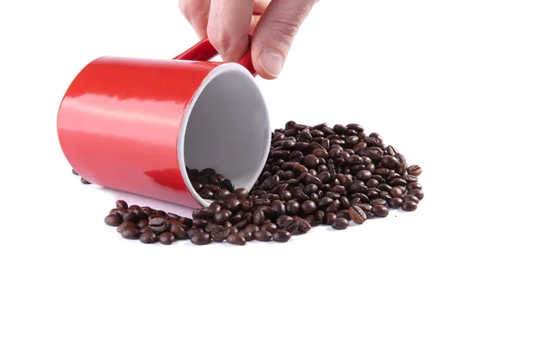 Coffee cup on roasted coffee beans — Stock Photo, Image
