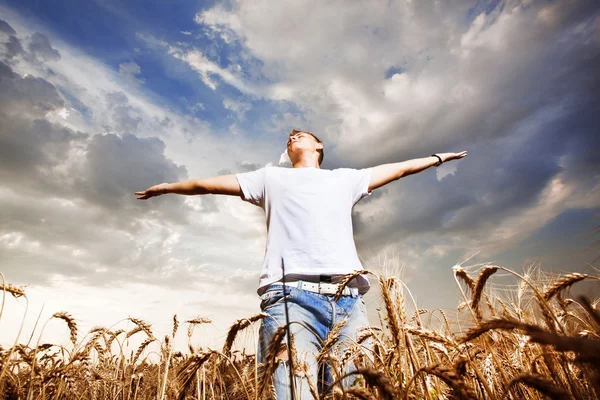 mutlu bir adam bir buğday alanında açık kollar ile ayakta