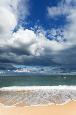 Güney NSW Avustralya muhteşem sahil