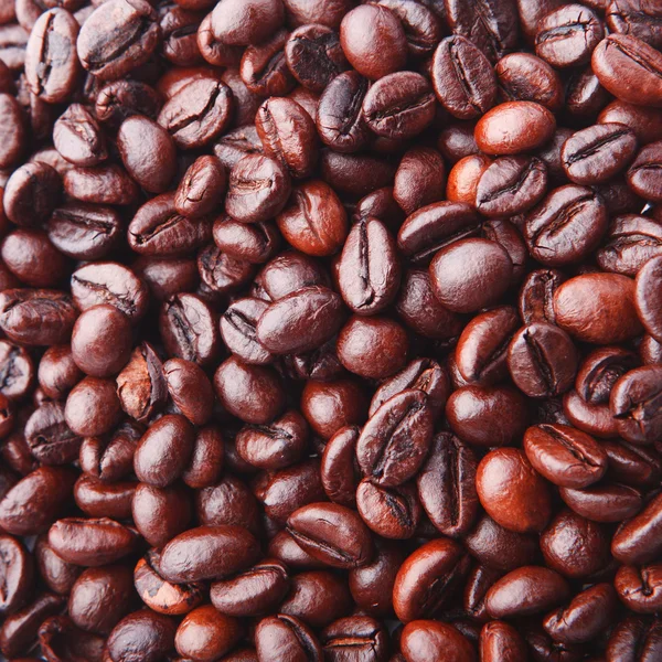 Fundo de deliciosos e perfumados grãos de café — Fotografia de Stock
